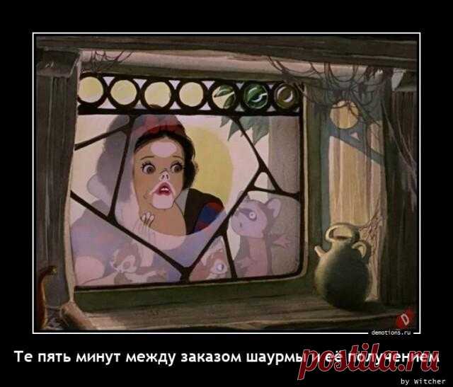 Демотиваторы-приколы чередной сборник прикольных демотиваторов на любой вкус и обо всём на свете!В этом выпуске: про ожидание заказа шаурмы, про женские правила, про выбор студентов, про колбасные обрезки, про бригадный п...