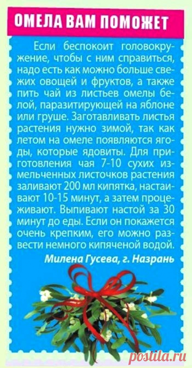 Омела от головокружения