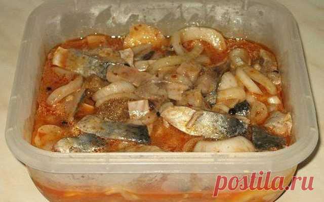 Сельдь по-корейски — невероятно вкусная закуска. - Образованная Сова