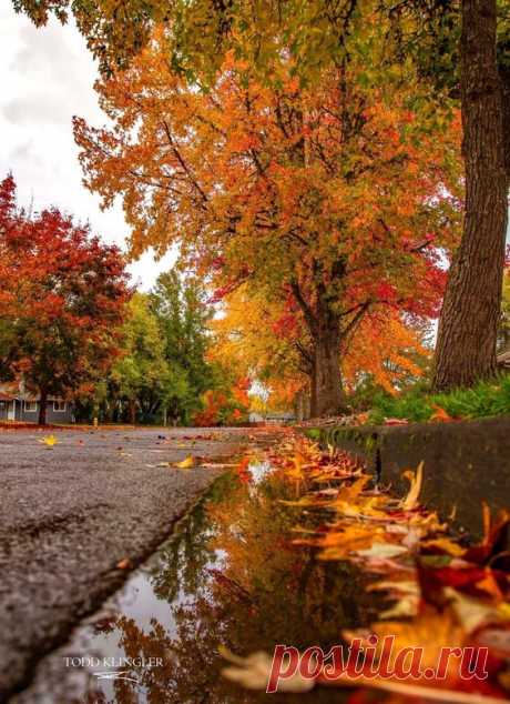 Pinterest