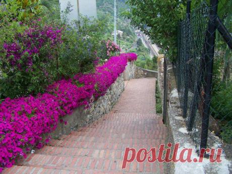 (+1) - Национальный парк Италии Чинкве-Терре | ТУРИЗМ И ОТДЫХ