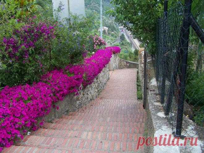 (+1) - Национальный парк Италии Чинкве-Терре | ТУРИЗМ И ОТДЫХ