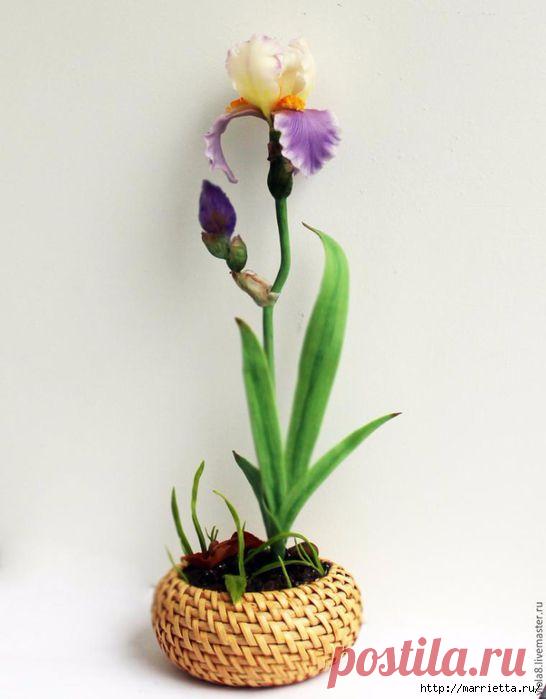 ИРИС из полимерной глины. Мастер-класс