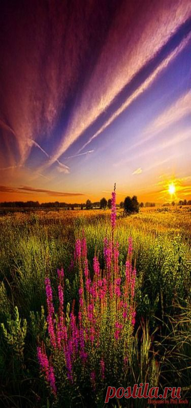 'More Than Anything Else' - Horizons by Phil Koch | ༺✿♥GOLD DUST WOMAN, SEVEN WONDERS`✿⊱༺✫༺ приколол(а) это к доске SUNRISES & SUNSETS