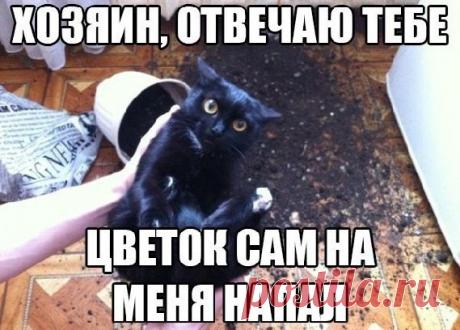 Мой Мир@Mail.Ru