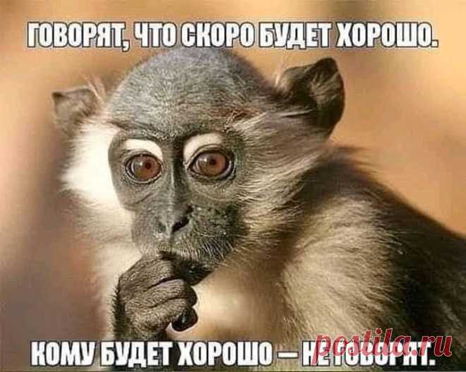 (4) Facebook