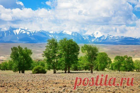 Алтай. Altay. Russian Federation  #ForFriends #photo #EarthMyMother: Discover and save creative ideas
