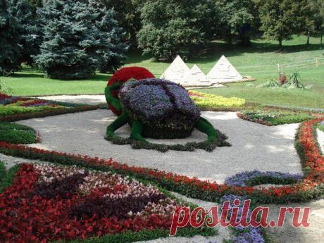 Клуб любителей дачи