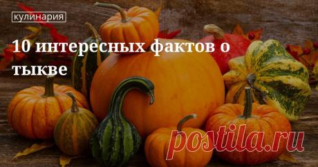 10 интересных фактов о тыкве. Кулинарные статьи и лайфхаки 10 интересных фактов о тыкве. Рецепты, лайфхаки, обзоры, и интересные истории из жизни. Все о доме, семье, уюте, готовке а так же рецепты с фото на сайте Едим Дома