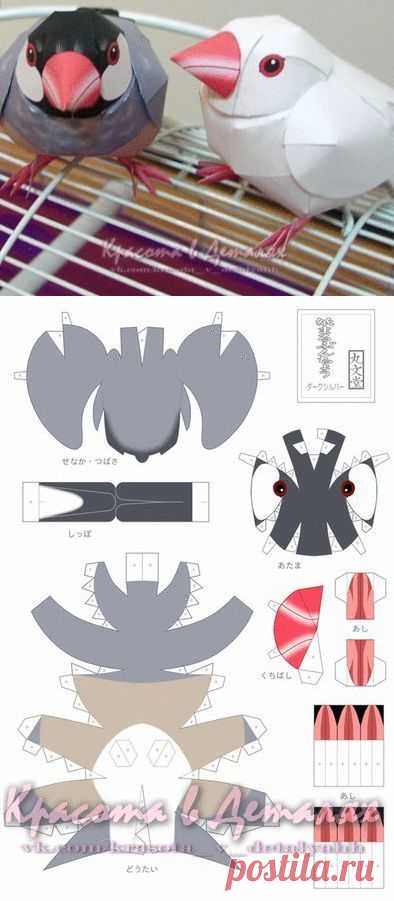 Бумажные воробьи!