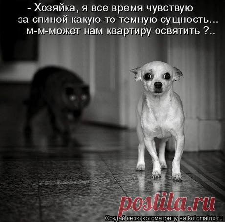 Битвы экстрасенсов насмотрелся