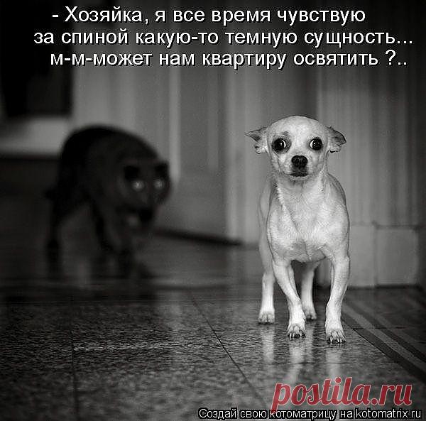 Битвы экстрасенсов насмотрелся