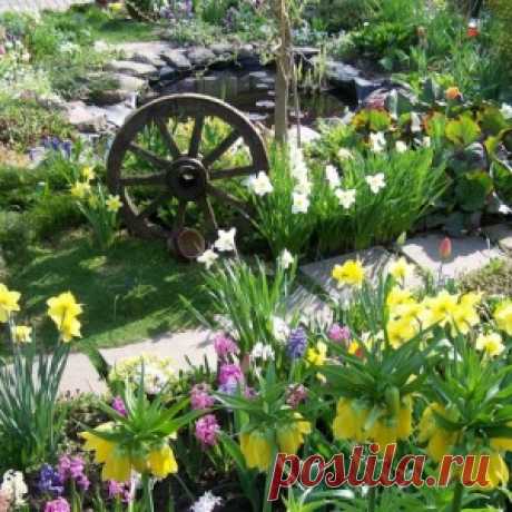 Дача -- фантастический палисадник радиофизика и врача-педиатра