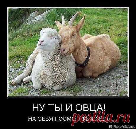 Какой год, такие рядом и .....)))