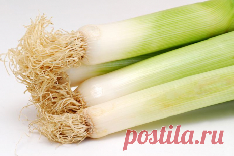 Как вырастить лук-порей | Дача, дом