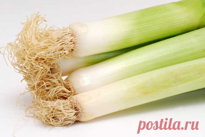 Как вырастить лук-порей | Дача, дом