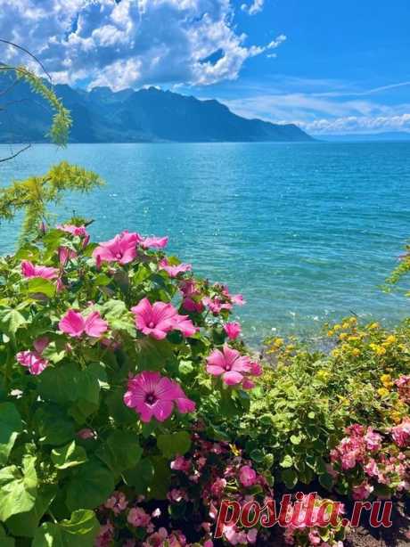Pinterest