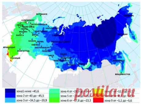 USDA-зоны морозостойкости растений в России: как не наткнуться на неженку