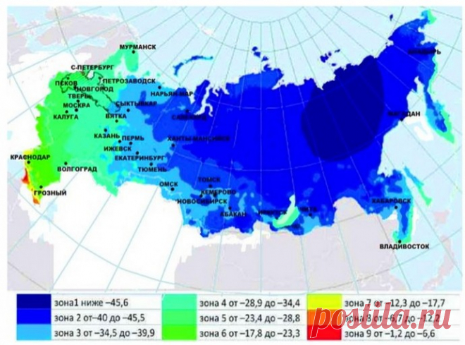 USDA-зоны морозостойкости растений в России: как не наткнуться на неженку