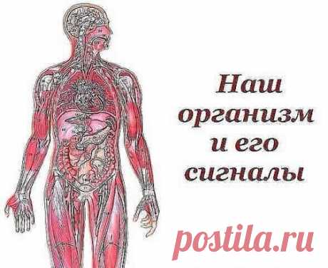 ~~~ Вот такую ПАМЯТКУ надо иметь у себя под рукой всегда, ДеЛюСь ею с вами, уносите себе на странички→↓ ~~~
°•○●Наш организм и его сигналы.●○•°
Врачи уверены, что в нашем организме «вдруг» ничего не бывает. 
И даже малейшие изменения в нашей внешности утром говорят о том, что со здоровьем что-то пошло не так… 
Мало кто из нас подвергается регулярному медосмотру. Но предупредительные сигналы организма о начинающихся неполадках мы можем рассмотреть сами на открытых участках собственного тела.
•