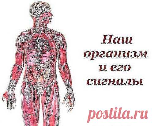 ~~~ Вот такую ПАМЯТКУ надо иметь у себя под рукой всегда, ДеЛюСь ею с вами, уносите себе на странички→↓ ~~~
°•○●Наш организм и его сигналы.●○•°
Врачи уверены, что в нашем организме «вдруг» ничего не бывает. 
И даже малейшие изменения в нашей внешности утром говорят о том, что со здоровьем что-то пошло не так… 
Мало кто из нас подвергается регулярному медосмотру. Но предупредительные сигналы организма о начинающихся неполадках мы можем рассмотреть сами на открытых участках собственного тела.
•