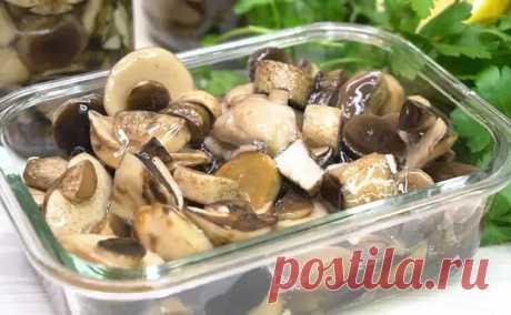 (68) Грибы в маринаде теряют вкус, но по новому рецепту будут как свежие. Сохраняется весь вкус леса - Steak Lovers - медиаплатформа МирТесен - Медиа
