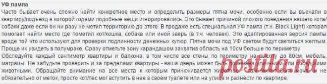 Удаление кошачьей мочи навсегда