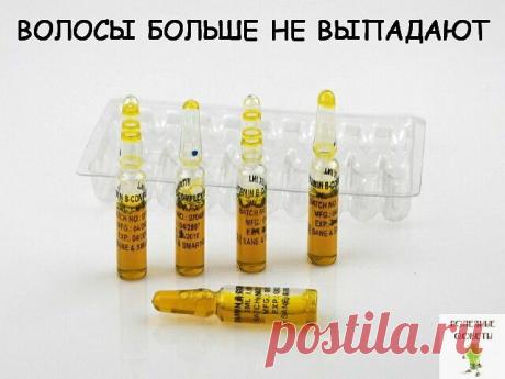 СОВЕТ 1 : ВОЛОСЫ БОЛЬШЕ НЕ ВЫПАДАЮТ.
СОВЕТ 2: КАК ИЗБАВИТЬСЯ ОТ НАРОСТА НА КОНЦАХ ПАЛЬЦЕВ
СОВЕТ 3: МАСТОПАТИЯ БОИТСЯ ВАЛЕРИАНЫ И ЗВЕРОБОЯ
СОВЕТ 5: Гранат — главный помощник в борьбе с заболеваниями сосудов!