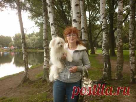 Ирина Пантина(Ежова)
52 года, Россия, г. Пестово (Пестовский район)