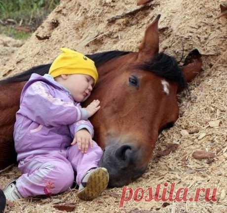 Доверие и Доброта!