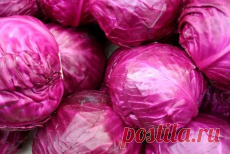 Чистит организм