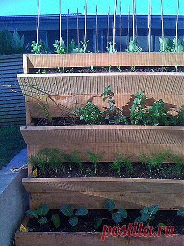 3ec7c162d0006845106b4c227c17ecca.jpg (375×500)