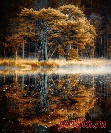 Моя любимая ОСЕНЬ – КРАСИВЫЕ КАРТИНКИ. ВИДЕО. МИР, В КОТОРОМ МЫ ЖИВЕМ! , пользователь Irina Irinka | Группы Мой Мир