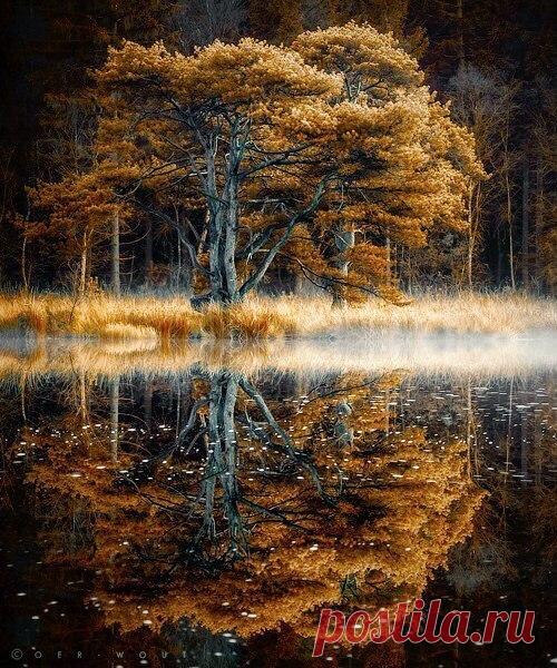 Моя любимая ОСЕНЬ – КРАСИВЫЕ КАРТИНКИ. ВИДЕО. МИР, В КОТОРОМ МЫ ЖИВЕМ! , пользователь Irina Irinka | Группы Мой Мир