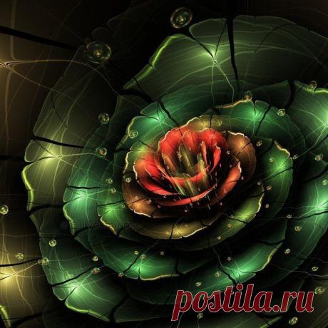 Eli Vokounova / Удивительное искусство