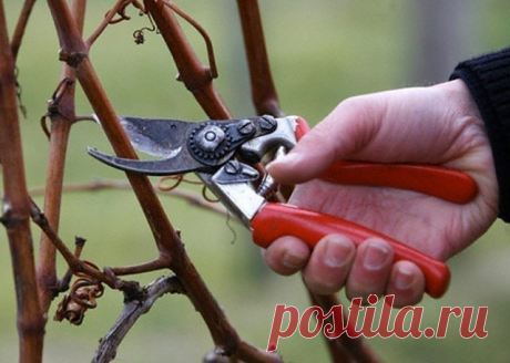 (52) Одноклассники
