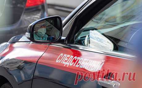 СК возбудил уголовное дело после массового отравления детей в Луховицах. Следственный комитет возбудил уголовное дело по факту массового отравления детей в одном из училищ города Луховицы в Московской области.