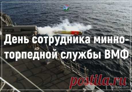 В торпедно-минной службе брат трудился
И там высот сумел больших достичь!
Он многому на службе научился
И много что сумел уже постичь!
