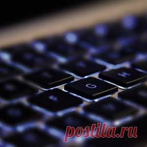 Удивительные дворцы для птиц от канадского плотника - МирТесен