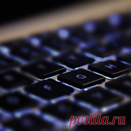 Удивительные дворцы для птиц от канадского плотника - МирТесен