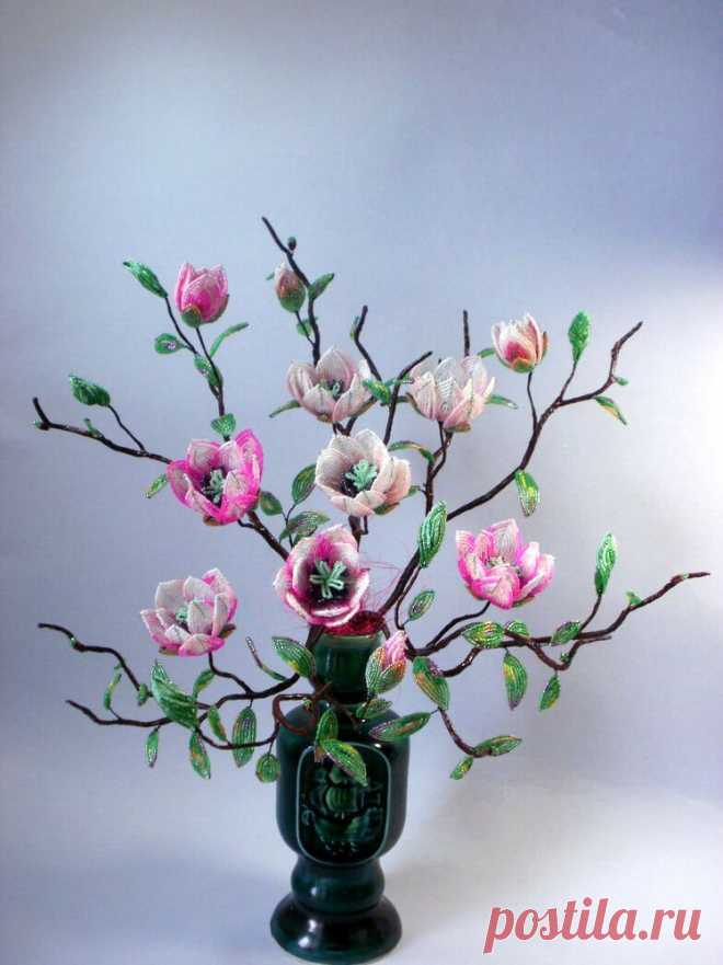biser.info_43839_v-kraju-magnolij-pleshhet-more..._1372245957.jpg (749×1000)