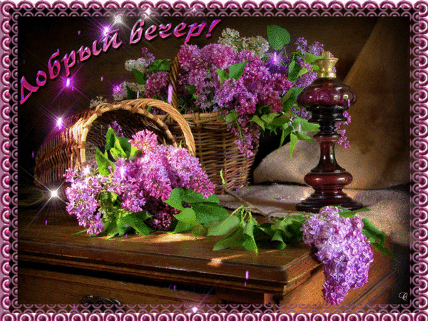༺🌸༻