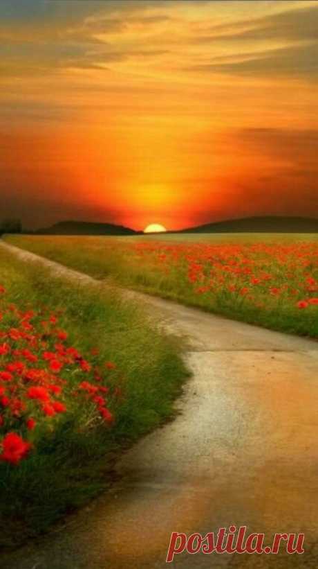 HAVE A NICE DAY