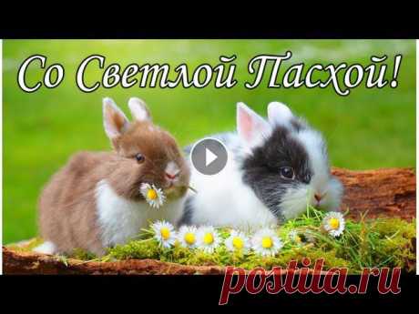 ????????????Красивое Поздравление С Пасхой????Красивая Песня! Светлой Пасхи! Музыкальная Открытка! Музыкальная Открытка????Ссылка на открытку: На моем...