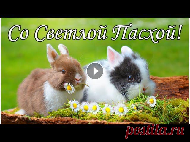 ????????????Красивое Поздравление С Пасхой????Красивая Песня! Светлой Пасхи! Музыкальная Открытка! Музыкальная Открытка????Ссылка на открытку: На моем...