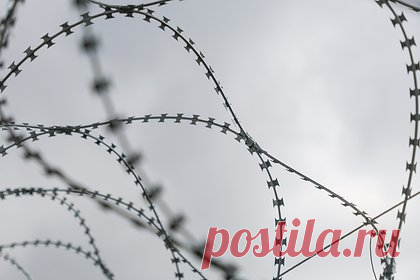 Арестованный российский чиновник заявил об отсутствии денег на побег