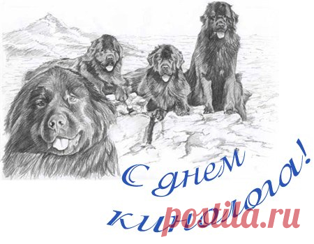 Кинологи, желаем вашей службе процветания,
С собаками контакта, понимания,
Успеха в ваших буднях трудовых
И премий своевременных, больших!