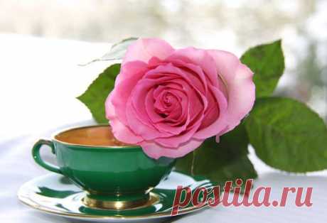 Я хочу подарить тебе маленький лучик тепла,​ 
Чтобы он согревал твою душу в любую пургу. 
Я хочу подарить тебе звездочку там, в небесах.​ 
Ярким солнцем сиять будет, если в душе твоей мрак. 
Я хочу подарить тебе звездочку там, в небесах.​ 
Это тот огонек, что в душе я давно берегу.​ 
Он расскажет тебе о любви и о счастье в сердцах.​ 
Я хочу подарить тебе капельку  светлой мечты.​ 
Без мечты жить на свете нельзя – это просто не жизнь!​
Без нее календарь вам подарит пустые листы. 
Веру ты не теряй