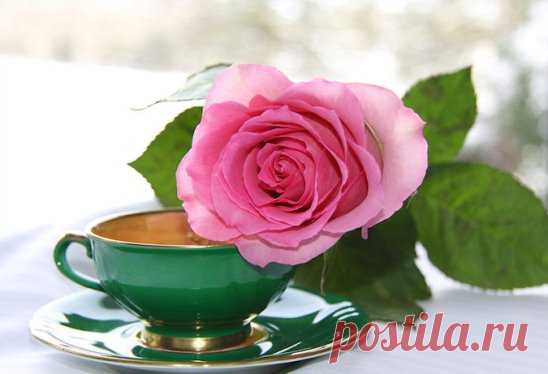 Я хочу подарить тебе маленький лучик тепла,​ 
Чтобы он согревал твою душу в любую пургу. 
Я хочу подарить тебе звездочку там, в небесах.​ 
Ярким солнцем сиять будет, если в душе твоей мрак. 
Я хочу подарить тебе звездочку там, в небесах.​ 
Это тот огонек, что в душе я давно берегу.​ 
Он расскажет тебе о любви и о счастье в сердцах.​ 
Я хочу подарить тебе капельку  светлой мечты.​ 
Без мечты жить на свете нельзя – это просто не жизнь!​
Без нее календарь вам подарит пустые листы. 
Веру ты не теряй