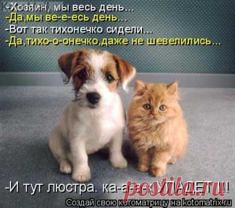 Мы тихонечко сидели